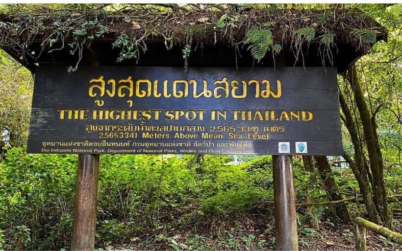 Chiang Mai: Doi Inthanon National Park and Pha Dok Siew Trek - Karen village coffee and tastings: what you’ll learn, and how to make it count