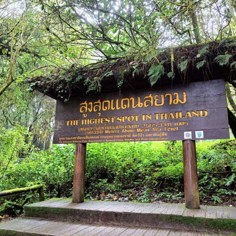 Chiang Mai: Doi Inthanon National Park & Waterfall Day Tour - Hmong Market: local browsing with sample-friendly shopping