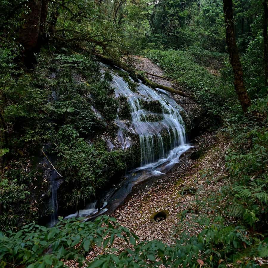 Chiang Mai: Doi Inthanon National Park, Waterfall & Lunch - The guide and small-group pace: why it matters up here
