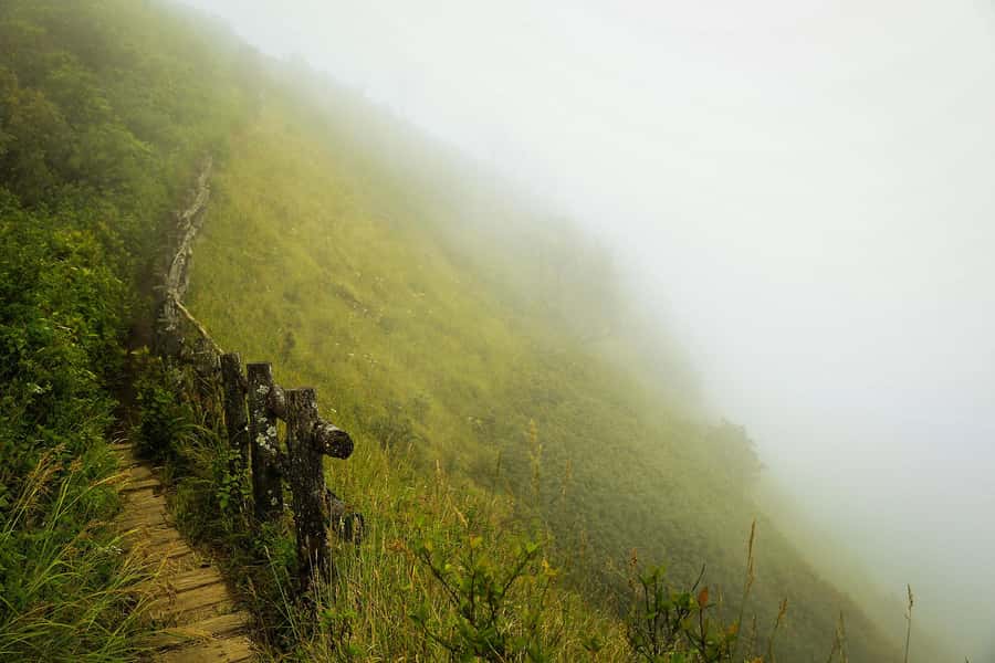 Chiang Mai: Doi Inthanon National Park, Waterfall & Lunch - Doi Inthanon From Chiang Mai: what this day trip feels like