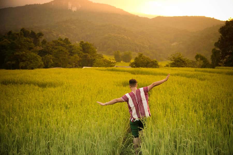 Chiang Mai: Doi Inthanon National Park, Waterfall & Lunch - King and Queen Pagodas: dress code details you should take seriously