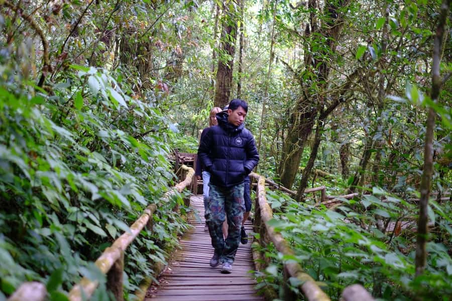 Chiang Mai: Doi Inthanon National Park with Ticket & Lunch - Vachiratharn Waterfall: the final wow moment