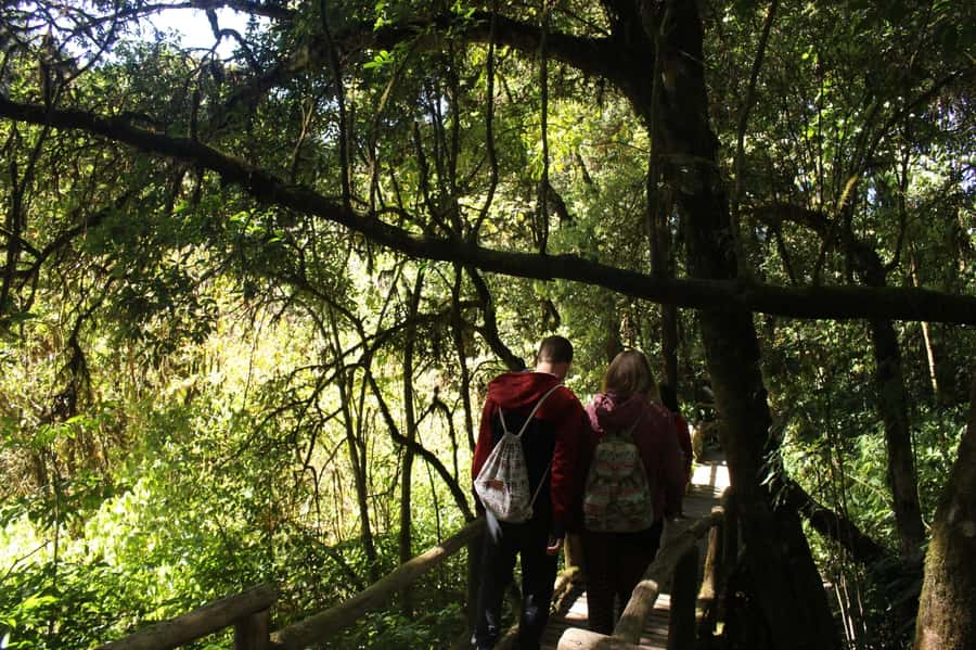 Chiang Mai: Doi Inthanon National Park with Ticket & Lunch - Hmong hill tribe market: fresh food and handmade finds
