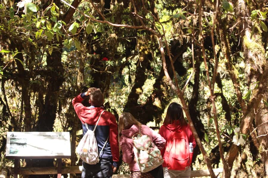 Chiang Mai: Doi Inthanon National Park with Ticket & Lunch - Mae Klang Luang Karen village: coffee that’s part of daily life