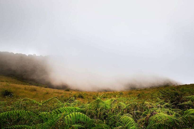 Chiang Mai: Doi Inthanon Park Tour & Kew Mae Pan Trail Hike - Who This Tour Suits Best (and Who Should Skip It)
