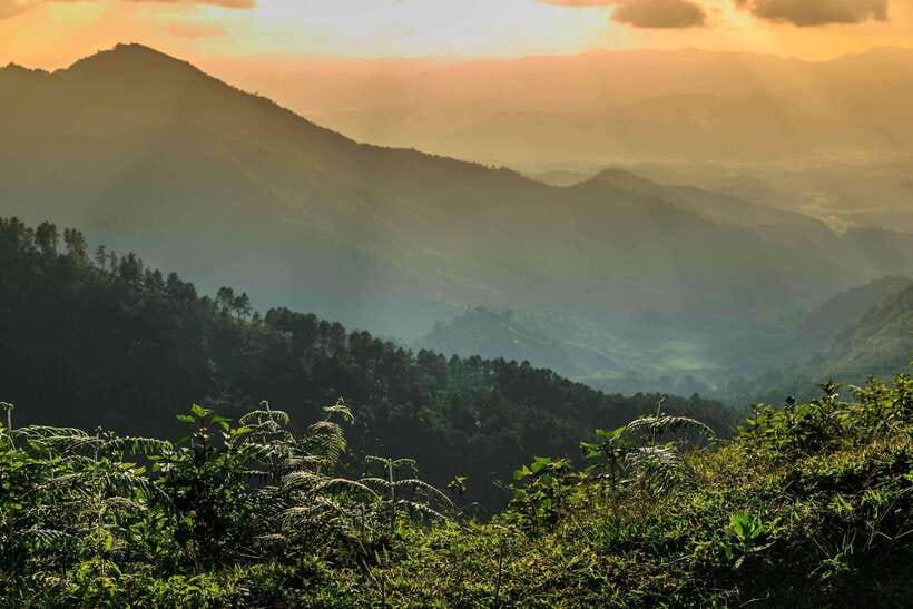 Chiang Mai: Doi Inthanon Park Tour & Kew Mae Pan Trail Hike - Kew Mae Pan Nature Trail Hike: The Hard Part (In a Good Way)