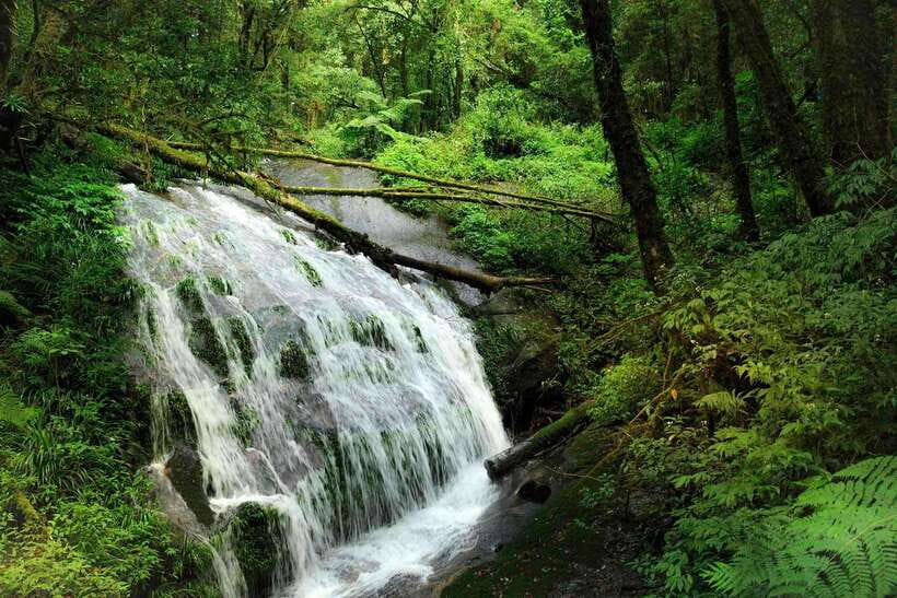 Chiang Mai: Doi Inthanon Park Tour & Kew Mae Pan Trail Hike - Karen and Hmong Stops: Markets Where Coffee-Making Shows Up