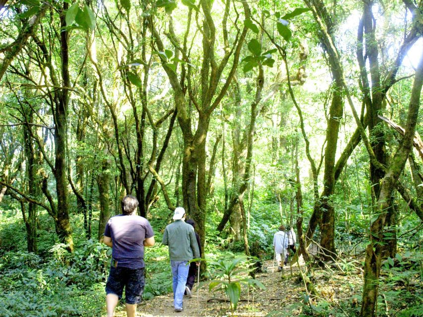 Chiang Mai: Doi Inthanon, Waterfalls, & Tribal Villages Tour - Should you book the Chiang Mai Doi Inthanon tour?