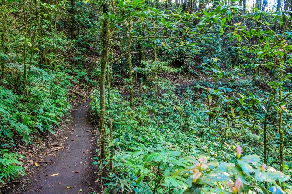 Chiang Mai: Doi Inthanon, Waterfalls, & Tribal Villages Tour - Lunch and the set-menu reality in mountain country