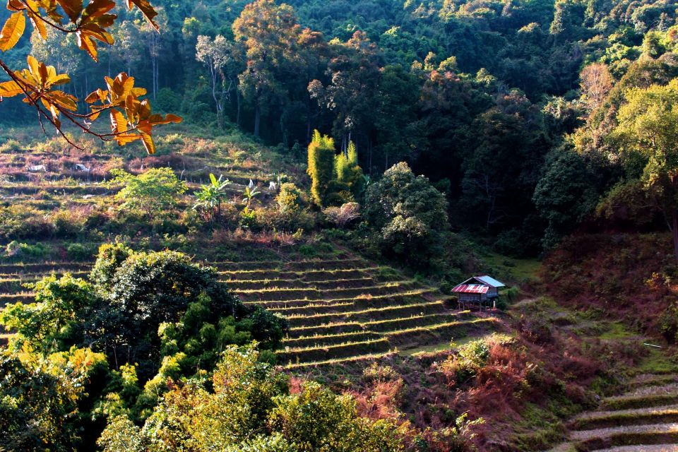 Chiang Mai: Doi Inthanon, Waterfalls, & Tribal Villages Tour - Price and value: $36 plus on-site fees