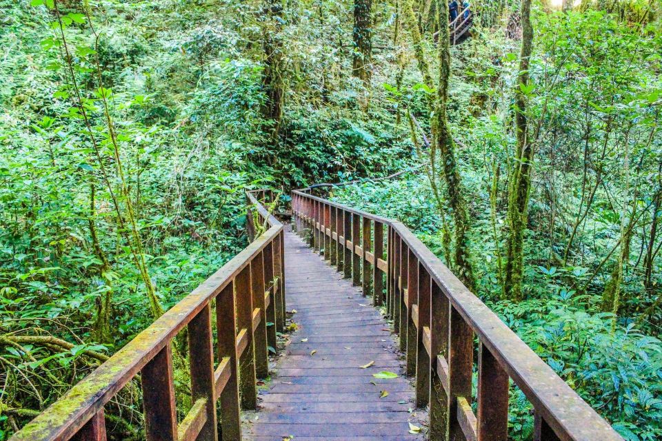 Chiang Mai: Doi Inthanon, Waterfalls, & Tribal Villages Tour - Who this tour is best for (and who should skip it)
