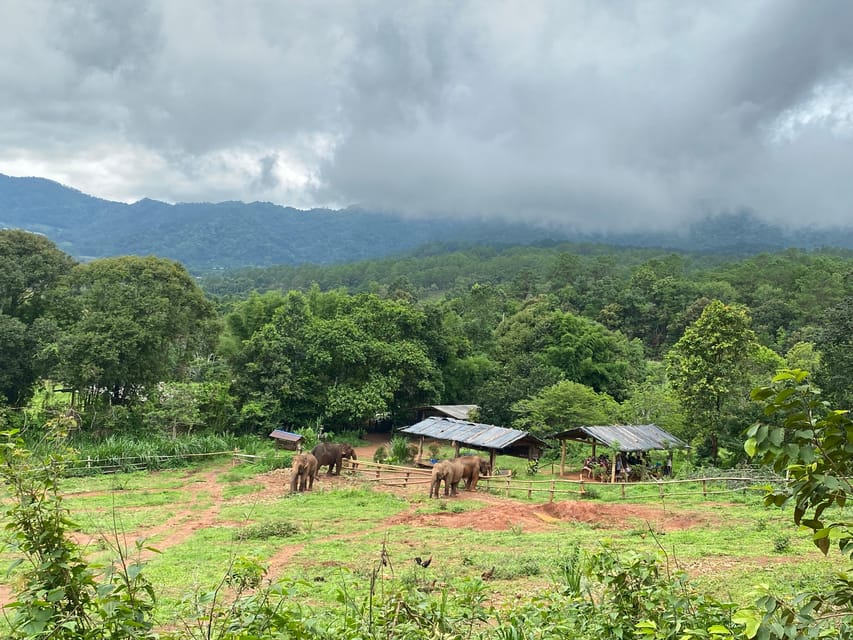 Chiang Mai: Elephant Dream Project Sanctuary - Half-Day - Key things to know before you go