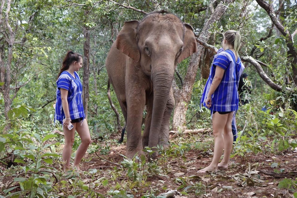 Chiang Mai: Elephant Dream Project Sanctuary - Half-Day - What to Bring for a Jungle Morning (So You Can Enjoy It)