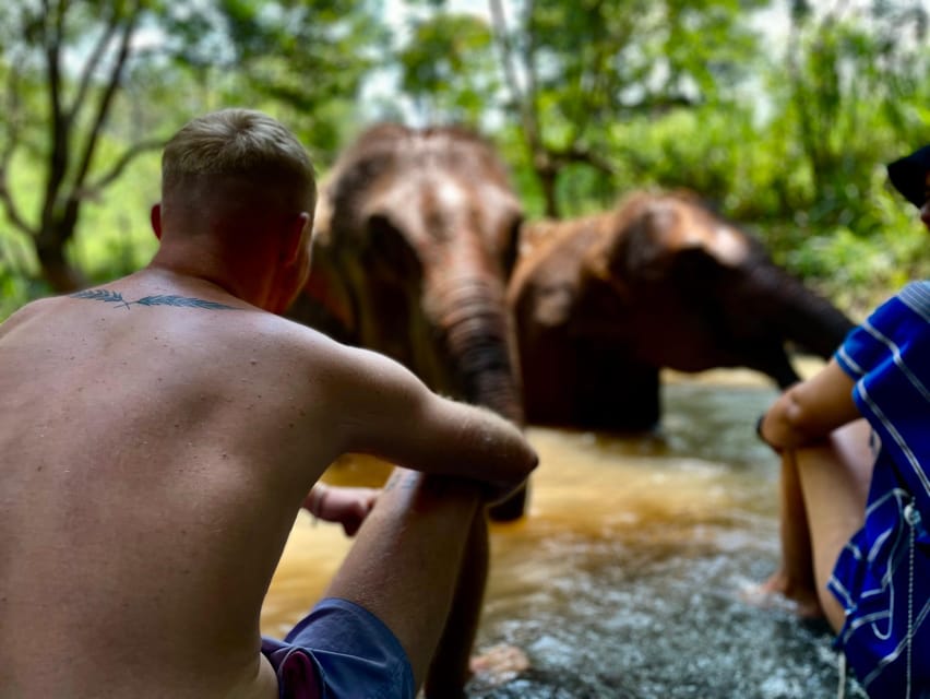 Chiang Mai: Elephant Dream Project Sanctuary - Half-Day - Arrival Briefing: Learning Elephant Life From a Local Guide (JJ)