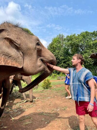 Chiang Mai: Elephant Dream Project Sanctuary - Half-Day - Hotel Pickup at 7:00, Then a Real Drive Into the Mountains