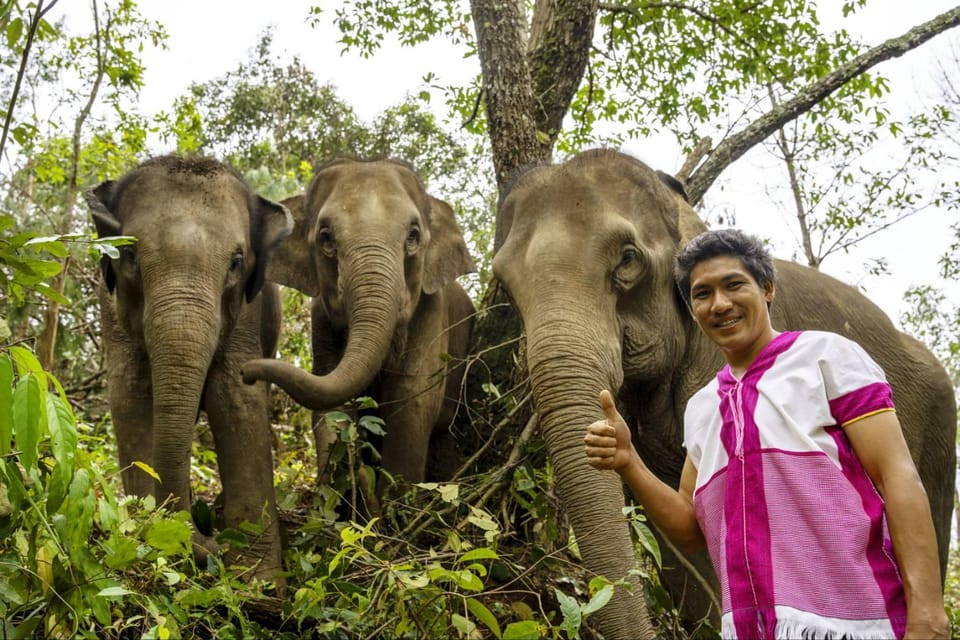 Chiang Mai: Elephant Dream Project Sanctuary - Half-Day - Price and Value: Why $51 Can Make Sense (And When It Doesn’t)