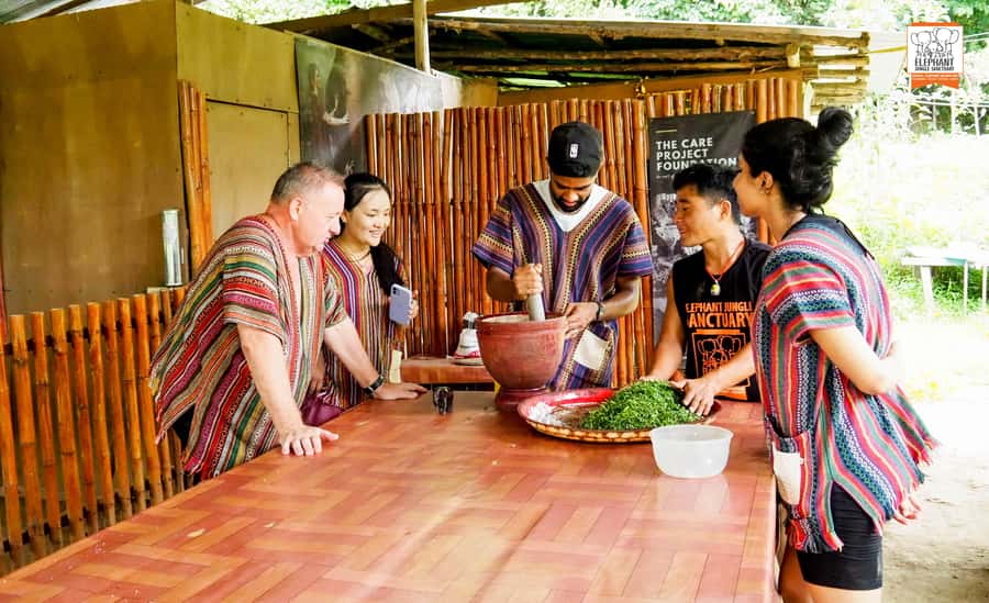 Chiang Mai: Elephant Jungle Sanctuary with Lunch & Transfer - Mud Spa With Elephants: Why It Feels Like Care, Not a Show