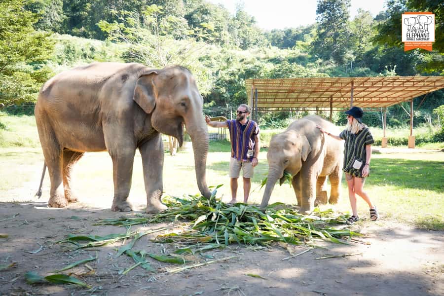 Chiang Mai: Elephant Jungle Sanctuary with Lunch & Transfer - River Bath: Brushing, Water Play, and What to Pack
