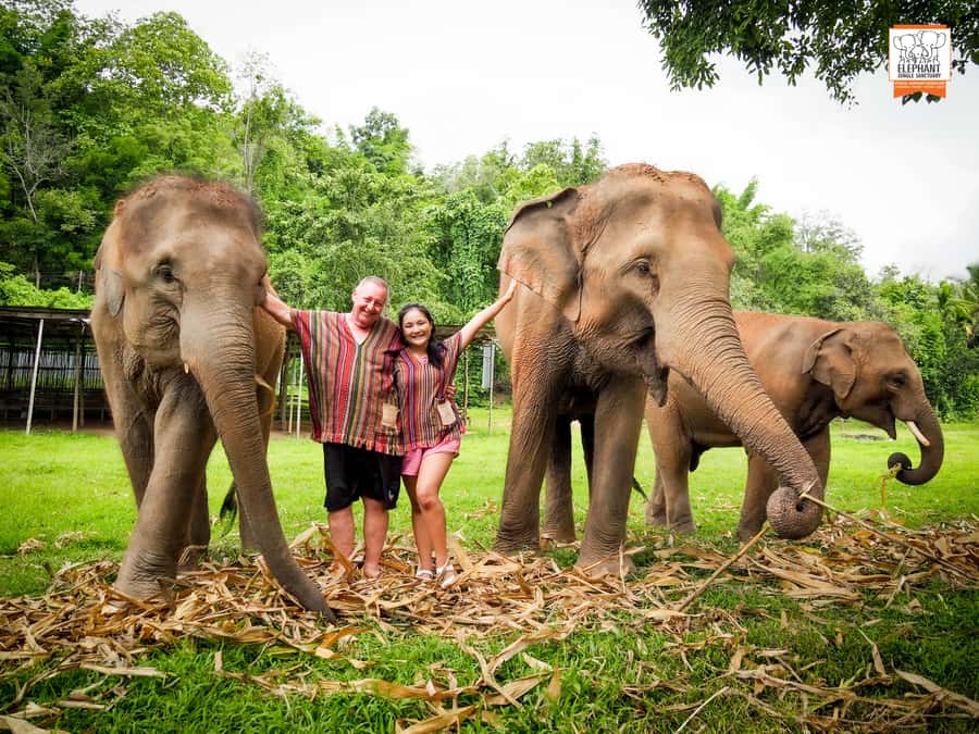 Chiang Mai: Elephant Jungle Sanctuary with Lunch & Transfer - Lunch, Snacks, and Fruit: The Recovery Phase