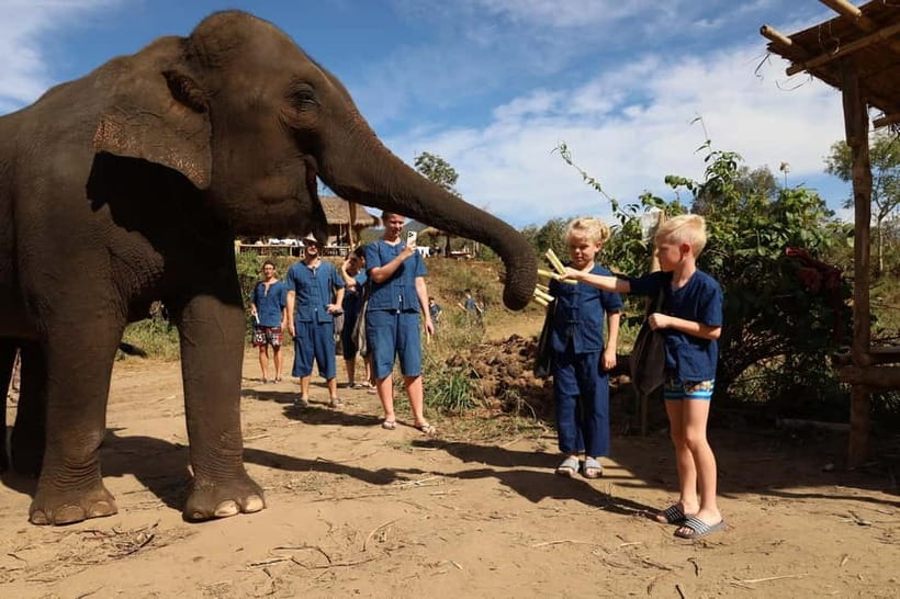 Chiang Mai: Elephant Sanctuary Bamboo Raft & Padthai Cooking - Ethical elephant time near Chiang Mai: what makes it different