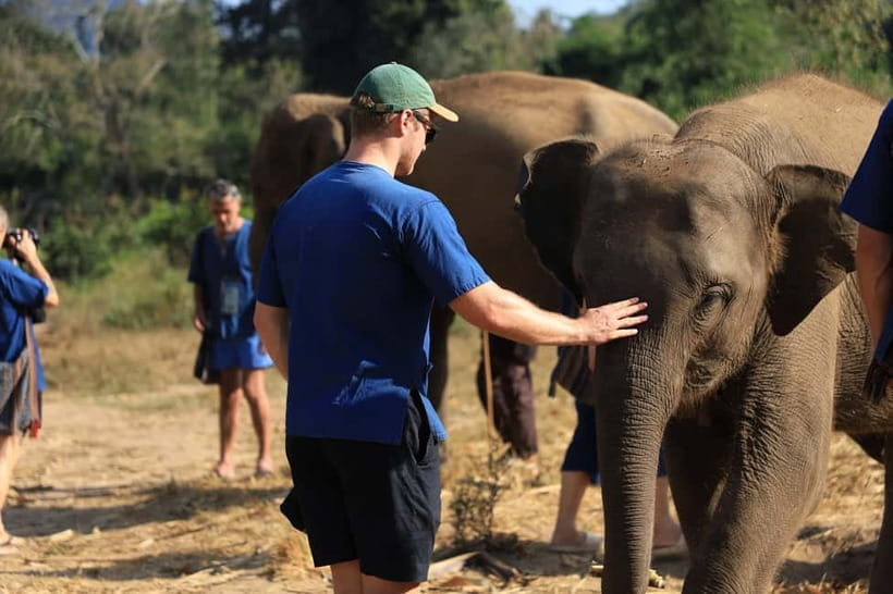 Chiang Mai: Elephant Sanctuary Bamboo Raft & Padthai Cooking - Mo Hom clothing, elephant stories, and the forest walk