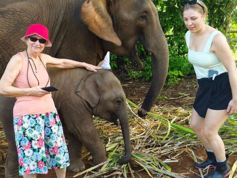 Chiang Mai: Elephant Sanctuary, Monk Trail & Doi Suthep Tour - Quick hits before you go