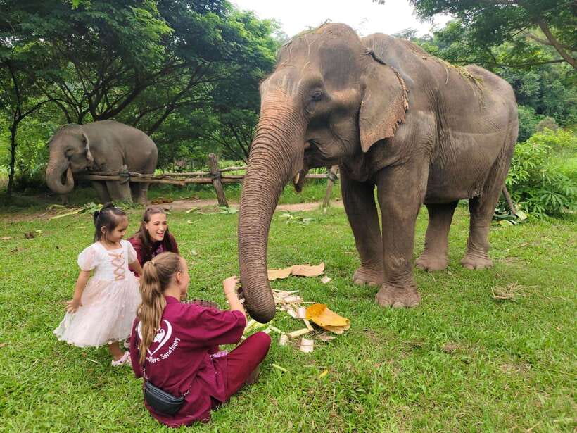 Chiang Mai: Elephants, Sticky Waterfalls, Market and Temple - Key things that make this day different