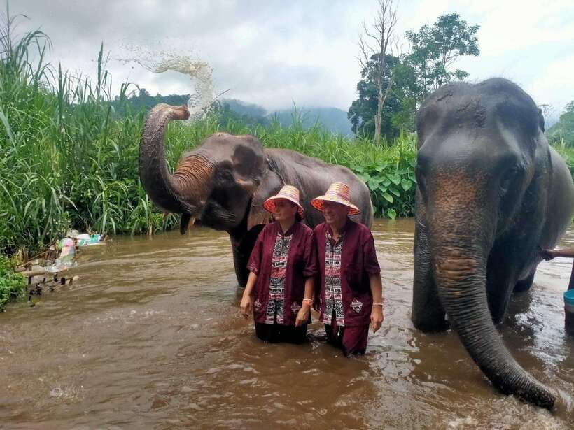 Chiang Mai: Elephants, Sticky Waterfalls, Market and Temple - How the day flows: market, waterfall, temple, countryside, elephants