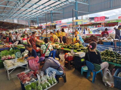 Chiang Mai: Elephants, Sticky Waterfalls, Market and Temple - The morning market stop: bugs, snacks, and rural food habits