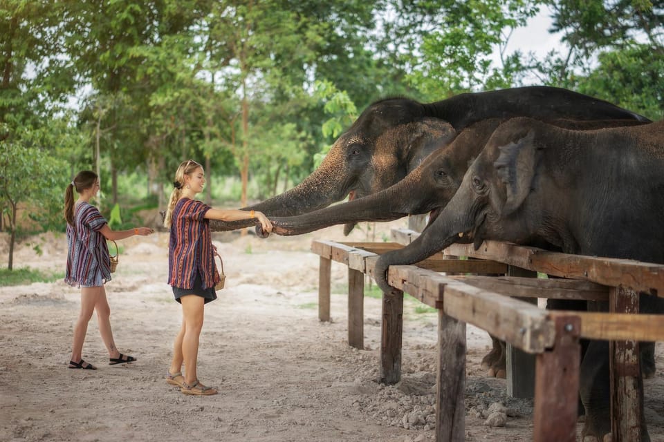 Chiang Mai: Ethical Elephant Encounter Feeding Program - Extra stops you might get: education room and arts-and-crafts