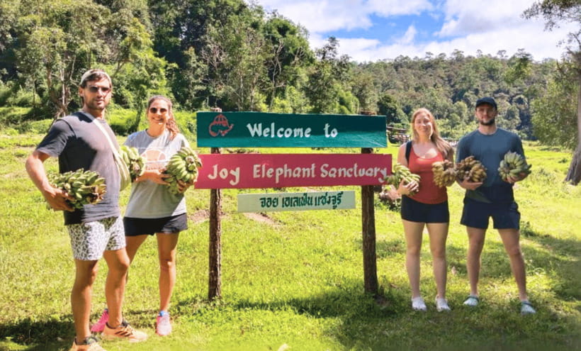 Chiang Mai: Ethical Half Day Elephant Sanctuary & Waterfall - Key things to know before you go