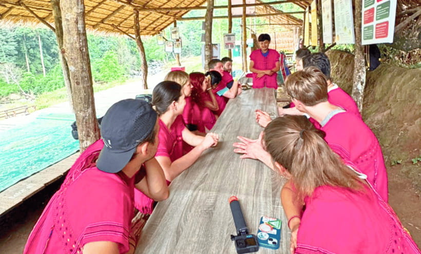 Chiang Mai: Ethical Half Day Elephant Sanctuary & Waterfall - Why Joy Elephant Sanctuary’s rules matter more than the selfies