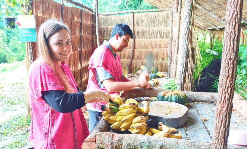 Chiang Mai: Ethical Half Day Elephant Sanctuary & Waterfall - Feeding elephants: hands-on, but still controlled and respectful