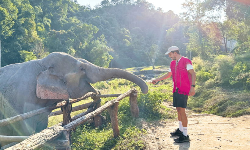 Chiang Mai: Ethical Half Day Elephant Sanctuary & Waterfall - The $54 value check: what you’re really paying for