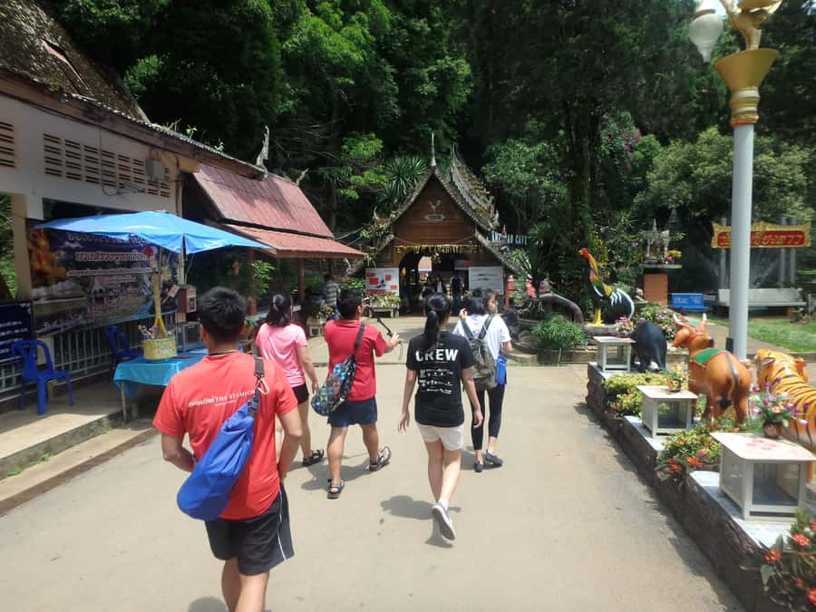 Chiang Mai: Full-Day Chiang Dao Caving & Jungle Kayaking - Key highlights you should know before you go