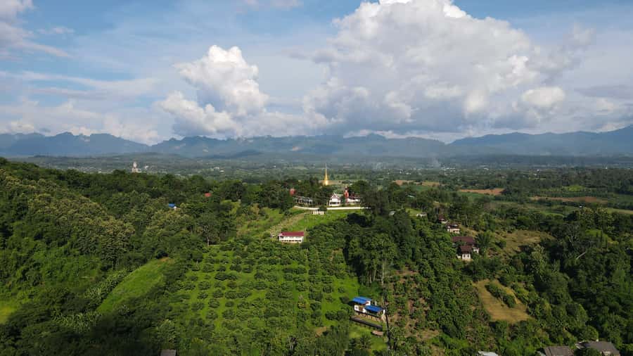 Chiang Mai: Full-Day Chiang Dao Caving & Jungle Kayaking - Mae Ping River kayaking: bamboo jungle shade, birds, and beginner-friendly fun