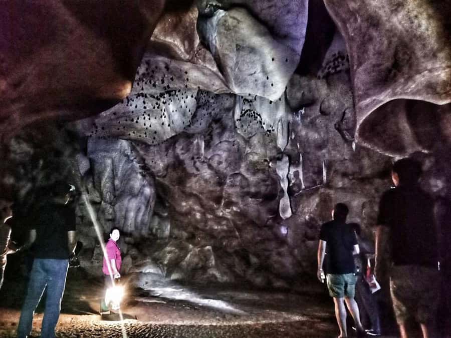 Chiang Mai: Full-Day Chiang Dao Caving & Jungle Kayaking - Lunch break: cave-side or riverside Thai food with vegan and vegetarian options