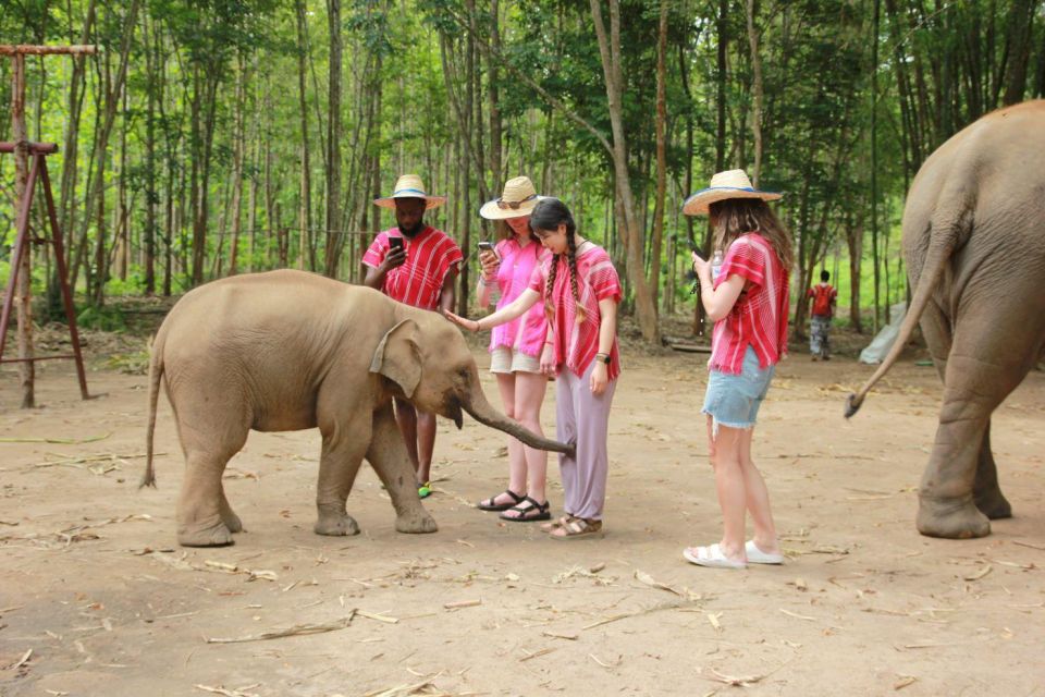 Chiang Mai: Full-Day Kerchor Elephant Eco Park Tour & Trek - Key highlights worth your time