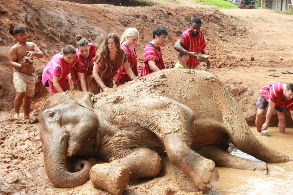 Chiang Mai: Full-Day Kerchor Elephant Eco Park Tour & Trek - Kerchor Elephant Eco Park: the day’s purpose beyond selfies
