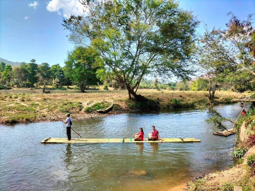 Chiang Mai: Full-Day Kerchor Elephant Eco Park Tour & Trek - Elephants first: feeding, walking, and making the herbal medicine balls
