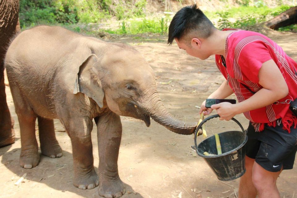 Chiang Mai: Full-Day Kerchor Elephant Eco Park Tour & Trek - The bamboo rafting ride: cold, muddy, and a lot of fun
