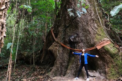 Chiang Mai: Gibbons, Trekking & Mae Kampong Small Group Tour - Gibbons in the wild: how you get your best shot