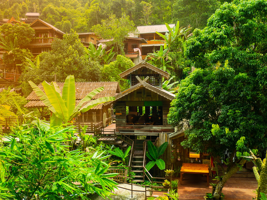 Chiang Mai: Gibbons, Trekking & Mae Kampong Small Group Tour - The secret 3 km forest trail and the 900-year-old tree