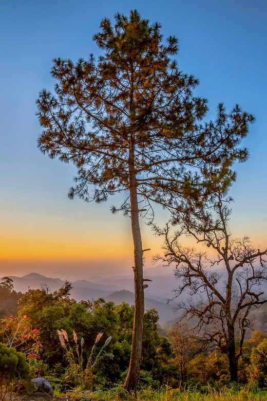 Chiang Mai: Gibbons, Trekking & Mae Kampong Small Group Tour - Should you book it?