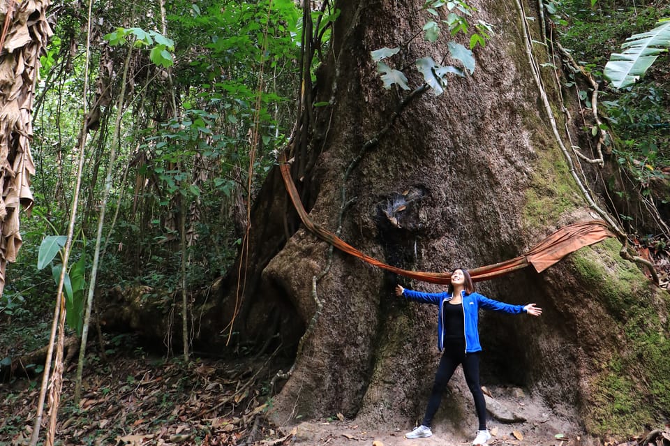 Chiang Mai: Gibbons, Trekking & Mae Kampong Small Group Tour - Gibbons in the wild: how you get your best shot