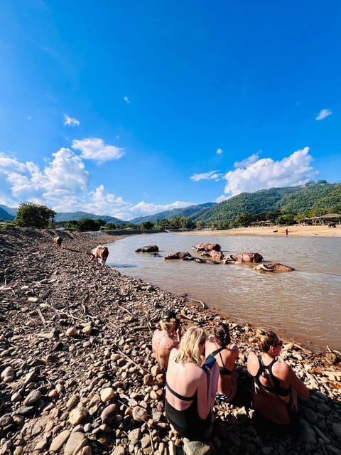 Chiang Mai Half-Day Adventure: Tubing & Elephant Feeding - Elephant feeding at Sunshine for Elephants: close, calm, and guided