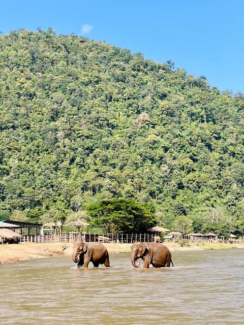 Chiang Mai Half-Day Adventure: Tubing & Elephant Feeding - Option 2 adds Saa Gee Falls: slide + jungle pools