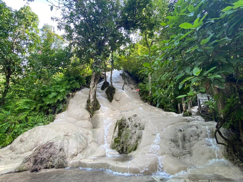 Chiang Mai Half Day Tour: Sticky Waterfall & Hotel Transfer - Why Bua Tong’s Sticky Waterfalls feel so different