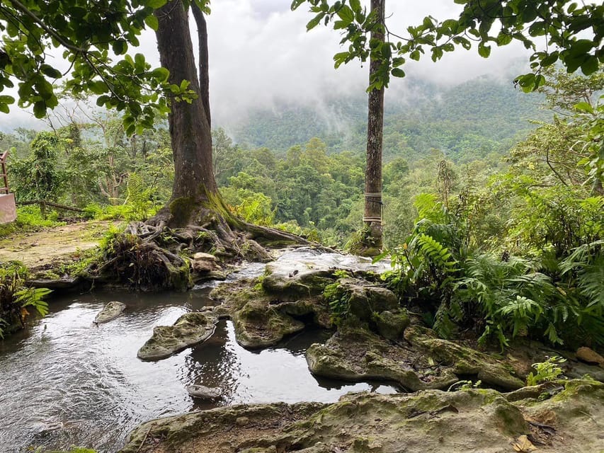Chiang Mai Half Day Tour: Sticky Waterfall & Hotel Transfer - Transfer-only comfort: what you get and what you won’t
