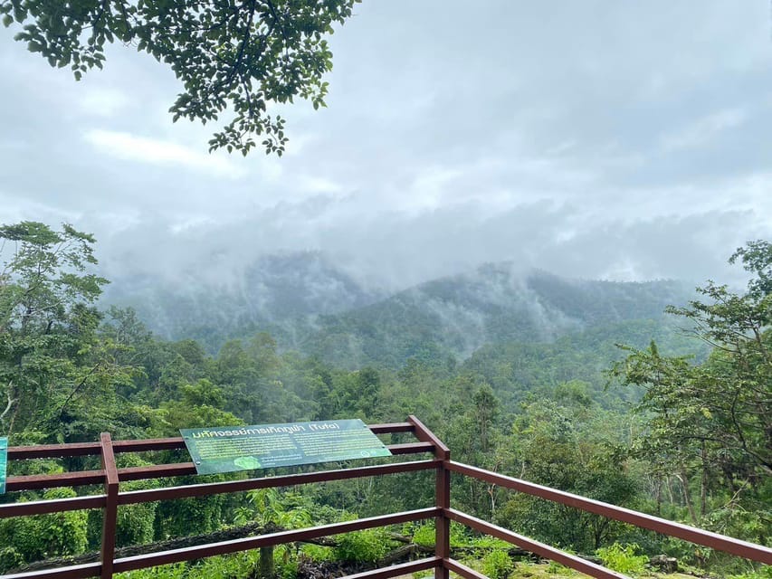 Chiang Mai Half Day Tour: Sticky Waterfall & Hotel Transfer - Choosing your session: morning quiet vs afternoon crowds